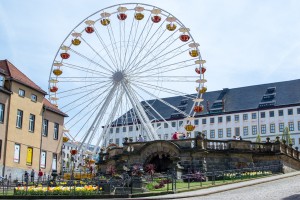 06052016-DSC 0017