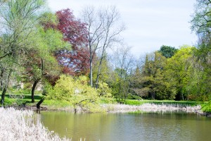 06052016-DSC 0025