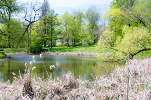 06052016-DSC 0026