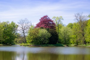 06052016-DSC 0034